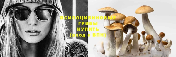 мет Балахна
