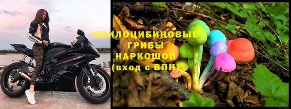 ПСИЛОЦИБИНОВЫЕ ГРИБЫ Балабаново