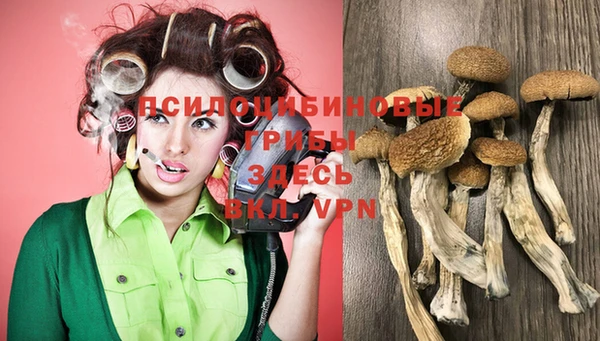 ПСИЛОЦИБИНОВЫЕ ГРИБЫ Балабаново