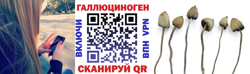 Псилоцибиновые грибы MAGIC MUSHROOMS  Мариинский Посад 