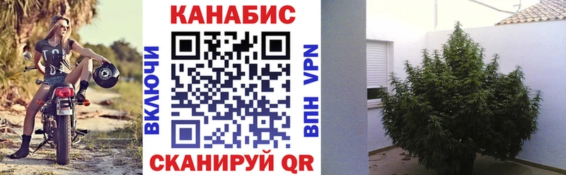 где найти наркотики  Мариинский Посад  Канабис SATIVA & INDICA 